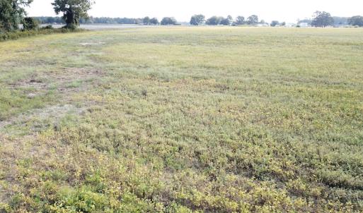 Photo #27 of 1247 Macedonia Road, Edenton, NC 83.0 acres