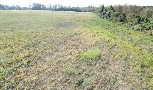 Photo #28 of 1247 Macedonia Road, Edenton, NC 83.0 acres