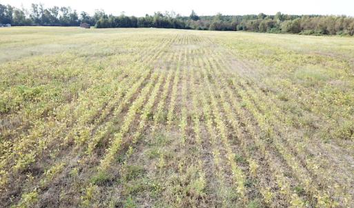 Photo #30 of 1247 Macedonia Road, Edenton, NC 83.0 acres