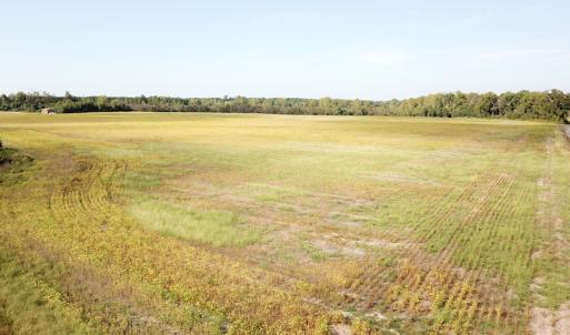 Photo #34 of 1247 Macedonia Road, Edenton, NC 83.0 acres