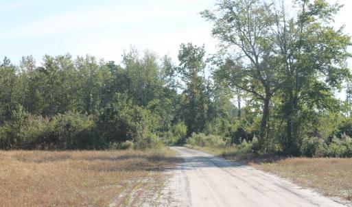 Photo #3 of 600 State Camp Road, Vanceboro, NC 89.6 acres