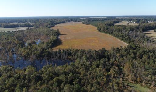 Photo #9 of Off Wintergreen Road, Cove City, NC 91.3 acres