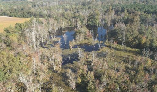 Photo #21 of Off Wintergreen Road, Cove City, NC 91.3 acres