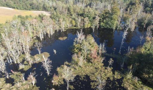 Photo #22 of Off Wintergreen Road, Cove City, NC 91.3 acres