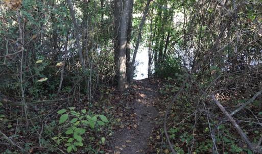 Photo #24 of Off Wintergreen Road, Cove City, NC 91.3 acres