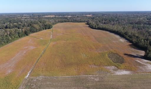 Photo #2 of Off Wintergreen Road, Cove City, NC 91.3 acres