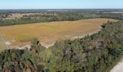 Photo #4 of Off Wintergreen Road, Cove City, NC 91.3 acres