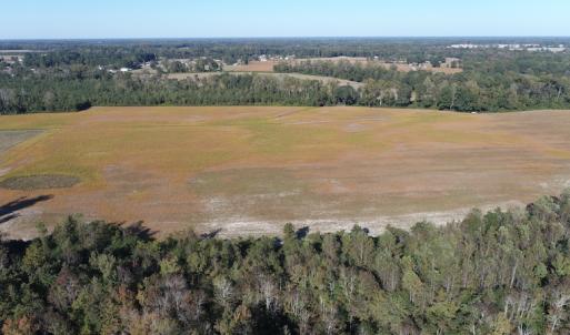 Photo #5 of Off Wintergreen Road, Cove City, NC 91.3 acres
