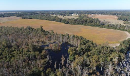 Photo #7 of Off Wintergreen Road, Cove City, NC 91.3 acres