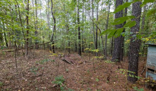 Photo #9 of SOLD property in 108 Beaver Court, Louisburg, NC 3.2 acres