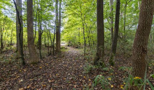 Photo #12 of SOLD property in 108 Beaver Court, Louisburg, NC 3.2 acres