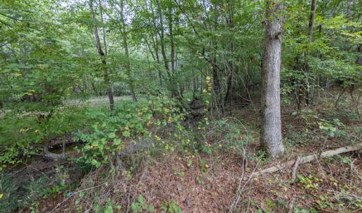 Photo #13 of SOLD property in 108 Beaver Court, Louisburg, NC 3.2 acres