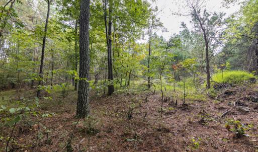 Photo #14 of SOLD property in 108 Beaver Court, Louisburg, NC 3.2 acres