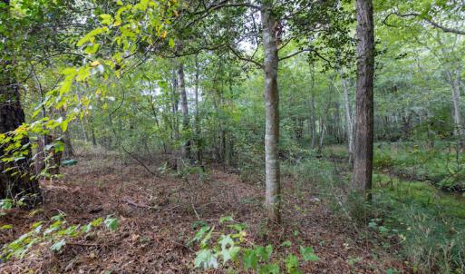 Photo #15 of SOLD property in 108 Beaver Court, Louisburg, NC 3.2 acres