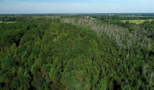 Photo #6 of Off Richland Drive, Red Springs, NC 9.5 acres