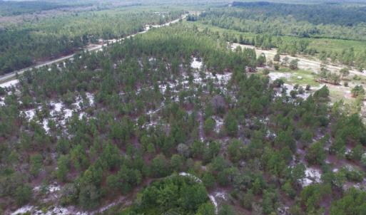 Photo #11 of SOLD property in 2139 Norris Road, Garland, NC 70.8 acres