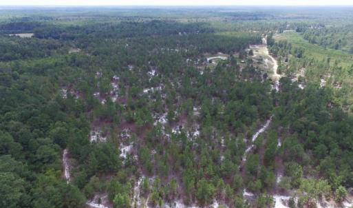 Photo #12 of SOLD property in 2139 Norris Road, Garland, NC 70.8 acres