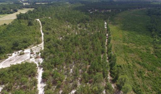Photo #14 of SOLD property in 2139 Norris Road, Garland, NC 70.8 acres