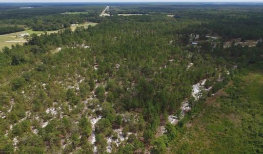 Photo #15 of SOLD property in 2139 Norris Road, Garland, NC 70.8 acres