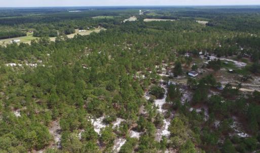 Photo #16 of SOLD property in 2139 Norris Road, Garland, NC 70.8 acres