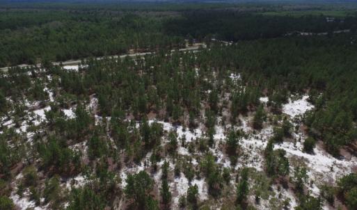 Photo #19 of SOLD property in 2139 Norris Road, Garland, NC 70.8 acres