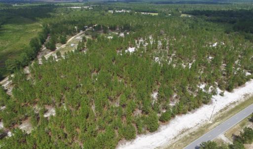 Photo #3 of SOLD property in 2139 Norris Road, Garland, NC 70.8 acres