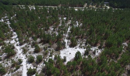 Photo #21 of SOLD property in 2139 Norris Road, Garland, NC 70.8 acres