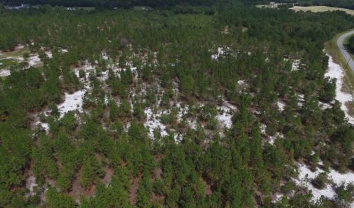 Photo #23 of SOLD property in 2139 Norris Road, Garland, NC 70.8 acres