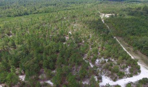 Photo #25 of SOLD property in 2139 Norris Road, Garland, NC 70.8 acres