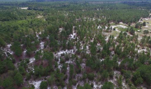 Photo #26 of SOLD property in 2139 Norris Road, Garland, NC 70.8 acres
