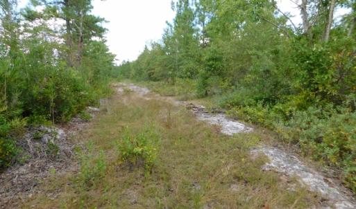 Photo #27 of SOLD property in 2139 Norris Road, Garland, NC 70.8 acres