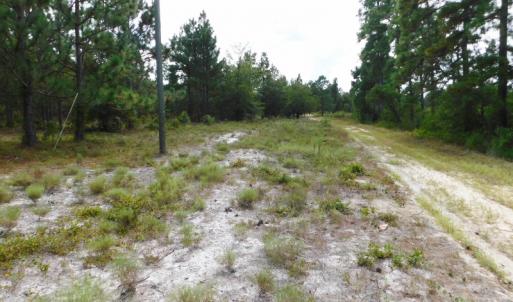 Photo #28 of SOLD property in 2139 Norris Road, Garland, NC 70.8 acres