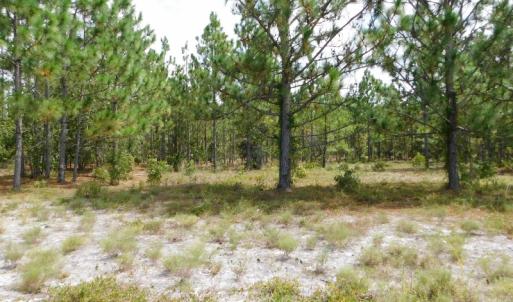Photo #30 of SOLD property in 2139 Norris Road, Garland, NC 70.8 acres