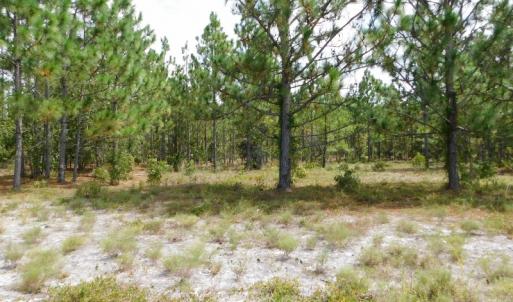 Photo #30 of SOLD property in 2139 Norris Road, Garland, NC 70.8 acres