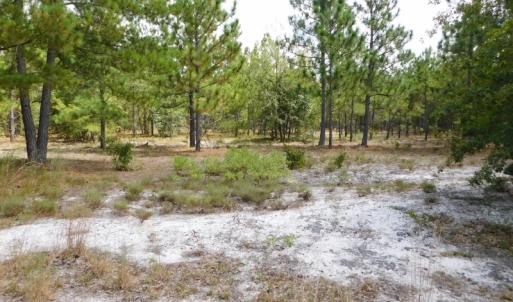 Photo #31 of SOLD property in 2139 Norris Road, Garland, NC 70.8 acres