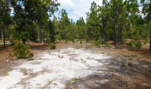 Photo #36 of SOLD property in 2139 Norris Road, Garland, NC 70.8 acres
