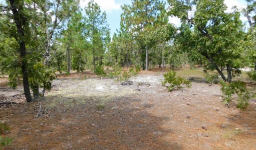 Photo #37 of SOLD property in 2139 Norris Road, Garland, NC 70.8 acres