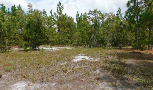 Photo #38 of SOLD property in 2139 Norris Road, Garland, NC 70.8 acres