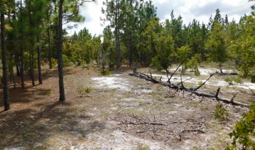 Photo #39 of SOLD property in 2139 Norris Road, Garland, NC 70.8 acres