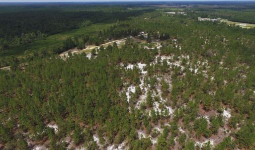 Photo #5 of SOLD property in 2139 Norris Road, Garland, NC 70.8 acres