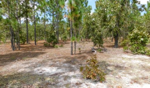 Photo #40 of SOLD property in 2139 Norris Road, Garland, NC 70.8 acres