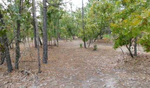 Photo #41 of SOLD property in 2139 Norris Road, Garland, NC 70.8 acres