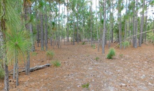 Photo #42 of SOLD property in 2139 Norris Road, Garland, NC 70.8 acres