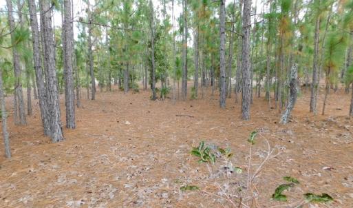 Photo #43 of SOLD property in 2139 Norris Road, Garland, NC 70.8 acres