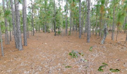 Photo #43 of SOLD property in 2139 Norris Road, Garland, NC 70.8 acres