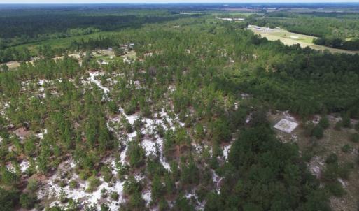 Photo #6 of SOLD property in 2139 Norris Road, Garland, NC 70.8 acres