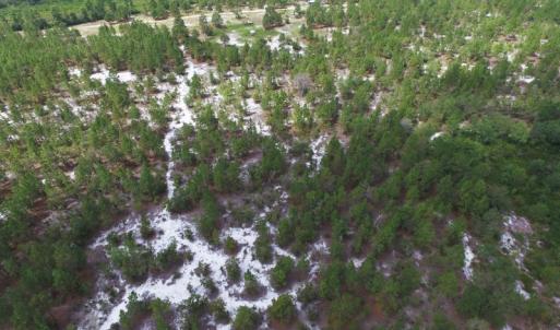 Photo #8 of SOLD property in 2139 Norris Road, Garland, NC 70.8 acres