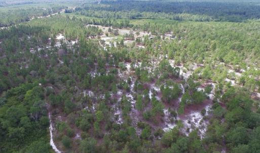 Photo #9 of SOLD property in 2139 Norris Road, Garland, NC 70.8 acres
