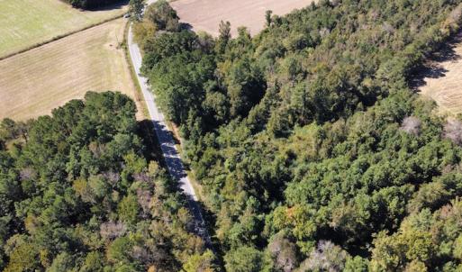 Photo #6 of SOLD property in Off Hamps Road, Nichols, SC 150.0 acres
