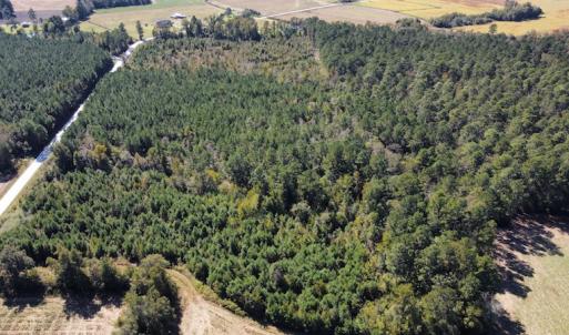 Photo #7 of SOLD property in Off Hamps Road, Nichols, SC 150.0 acres